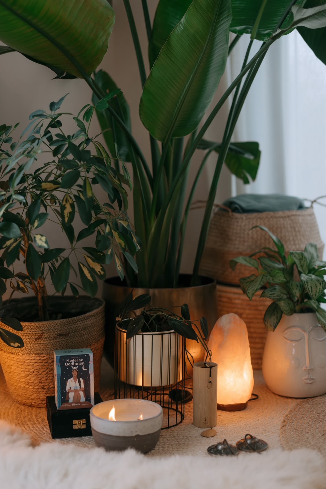 Rustige hoek met planten, kaarslicht en een zoutlamp